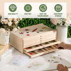 aceorbit 6 drawer wooden pressed flower storage box showing dimensions