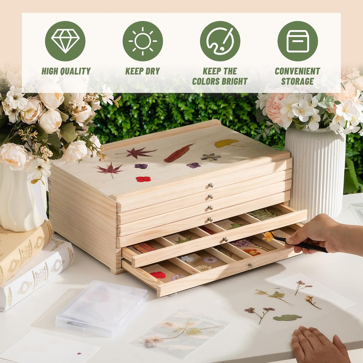 aceorbit 6 drawer wooden pressed flower storage box showing dimensions