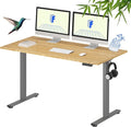 FLEXISPOT EN1 Bamboo Standing Desk, 55 x 28 Inches Whole-Piece Electric Height by FlexiSpot