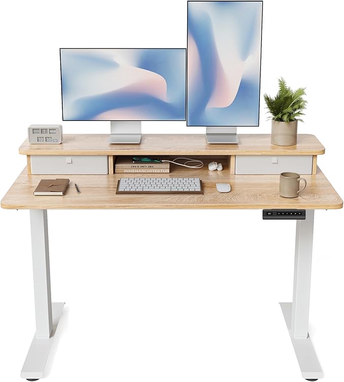 FEZIBO 48 x 24 Inch Height Adjustable Electric Standing Desk by FEZIBO