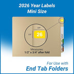 2026 MINI Year Labels, Doctor Stuff 2026 Chart Stickers, Ames Small Style - Image 3