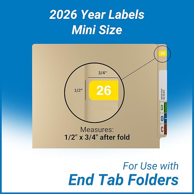 2026 MINI Year Labels, Doctor Stuff 2026 Chart Stickers, Ames Small Style - Image 3