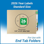 2026 Year Labels, Doctor Stuff 2026 Chart Stickers, Col'R'Tab/Tabbies Style - Image 3