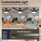 ceiling fans with lights, 46" low profile ceiling, close-up detail