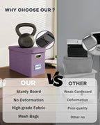 Oterri File Organizer with Lid, Hanging Filing Box with Mesh Pocket, Document - Image 3