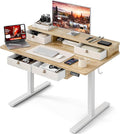 Grandder 47 Inch Electric Standing Desk by Grandder