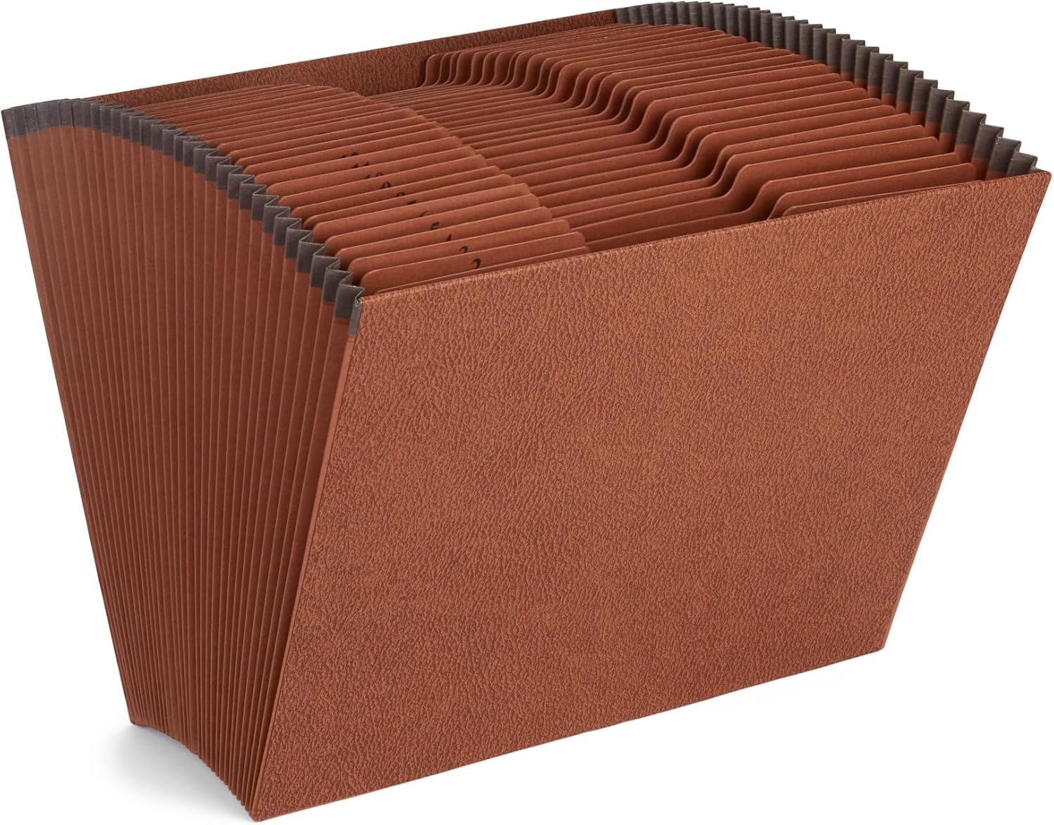 Blue Summit Supplies 31 Pocket Accordion File Organizer, Letter | Heavy-duty 80pt, open top, 31 daily tabs 1-31, for bills, receipts, and document sorting