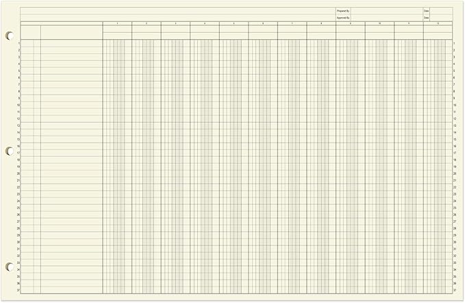 BookFactory Ledger Pad/Large 12 Column Accounting Ledger Columnar Pads - Image 2