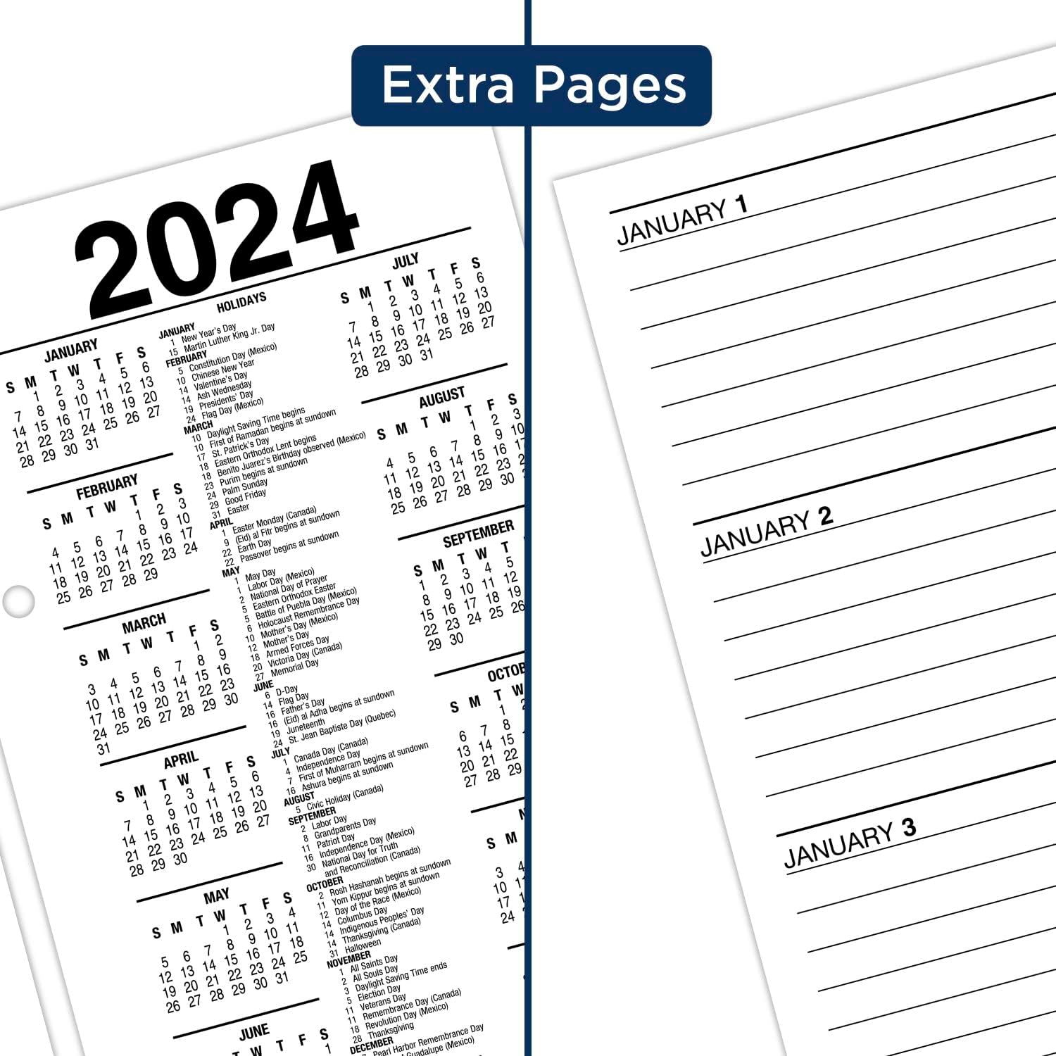 AT-A-GLANCE 2024 Daily Desk Calendar Refill, 3-1/2" x 6", Standard, Loose-Leaf, with Monthly Tabs (E717T5024)