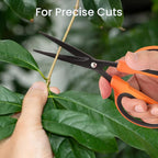 GROWNEER 3 Packs Trimming Scissors Teflon Coated Non Stick Blades Pruning - Image 6
