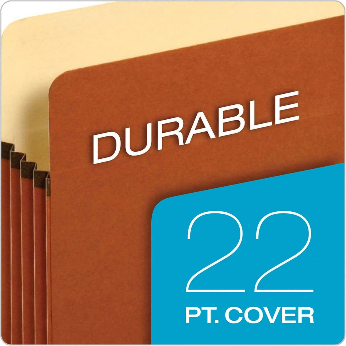Pendaflex File Folders Letter Size 250 per Box and Expanding File Pockets Letter Size 10 per Box Bundle