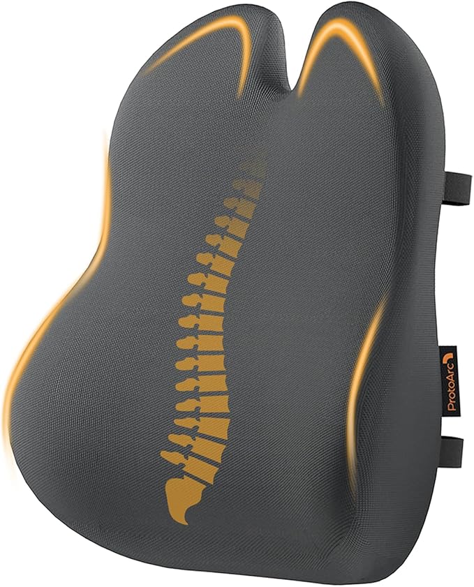 ProtoArc Lumbar Support Pillow for Office Chair, Memory Foam Back Support by ProtoArc