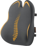 ProtoArc Lumbar Support Pillow for Office Chair, Memory Foam Back Support by ProtoArc