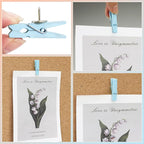 50 PCS Wooden Clips Colorful Push Pins Tacks - Image 3