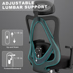 mesh office chair with headrest, lumbar support, 3d showing dimensions