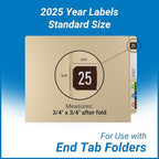 2025 Year Stickers, Doctor Stuff 2025 Chart Stickers, Digi Color Style - Image 5