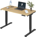 FLEXISPOT E6 3-Stage Dual Motor Electric Standing Desk 48 x 24 Sit Stand Up Desk by FlexiSpot