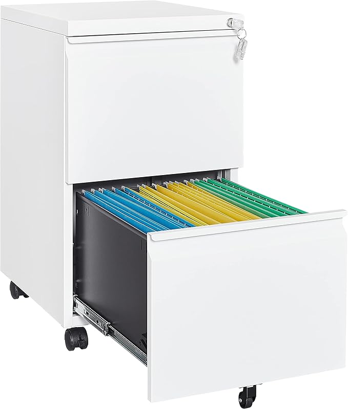 Fesbos 2 Drawer Vertical File Cabinet by Fesbos