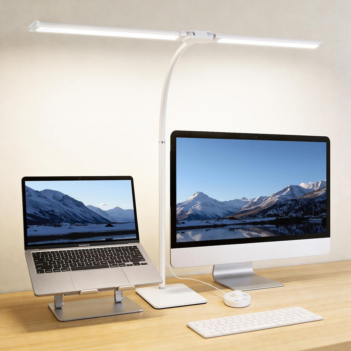 Desk Lamp for Home Office,Adjustable Double Head Desk Light with Base White
