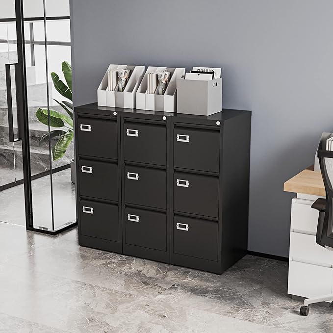 Fesbos Vertical File Cabinets - Image 9