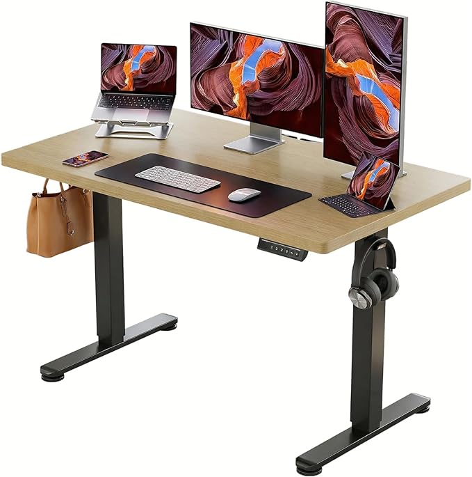 ErGear Height Adjustable Electric Standing Desk, 47.2 x 23.6 Inches Sit Stand by ErGear