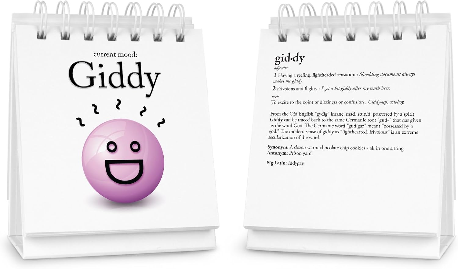 Genuine Fred THE DAILY MOOD Desktop Flipchart - 47 Moods - Helps Identify Emotions & Start Conversation - Fun & Functional Desk Accessories for home or office - Funny Gift for Coworkers - Office Gifts