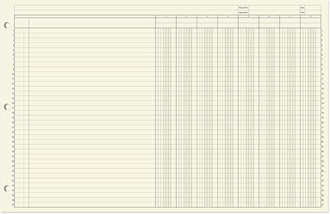 BookFactory Ledger Sheets/Large 8 Column Accounting Ledger Columnar Loose Leaf - Image 2