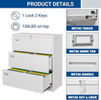 Fesbos Lateral File Cabinet - Image 6
