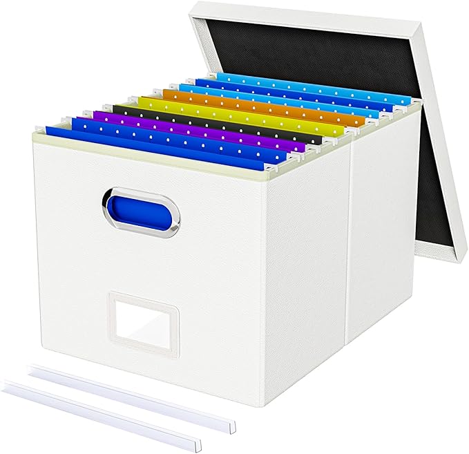 Oterri File Organizer Box with Lid, Portable Hanging File Box by Oterri