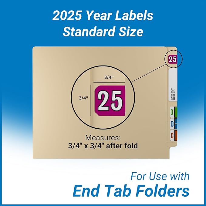 2025 Year Stickers, Doctor Stuff 2025 Chart Stickers, Fuchsia/Black Color Coded - Image 5