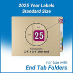 2025 Year Stickers, Doctor Stuff 2025 Chart Stickers, Fuchsia/Black Color Coded - Image 5