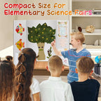 8 PCS Trifold Poster Board - Image 2