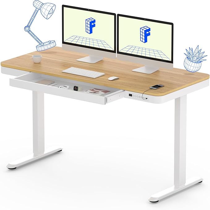 FLEXISPOT 55" Electric Standing Desk by FlexiSpot