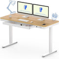FLEXISPOT 55" Electric Standing Desk by FlexiSpot
