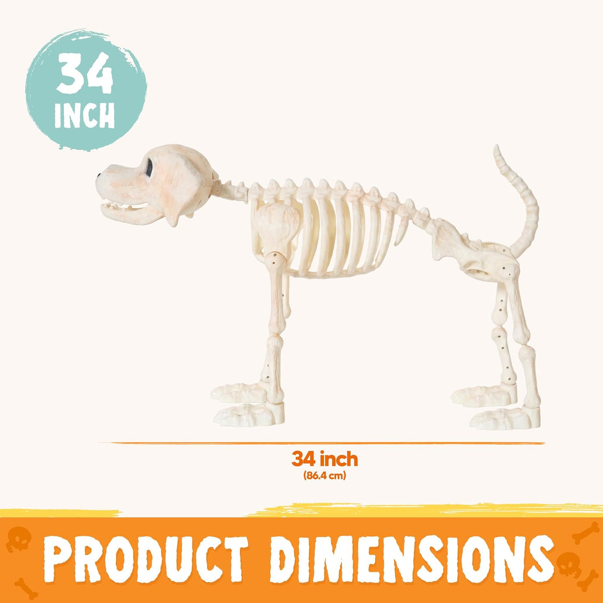 JOYIN Halloween Golden Retriever Skeleton 34” Animal Dog Plastic Skeleton wit...