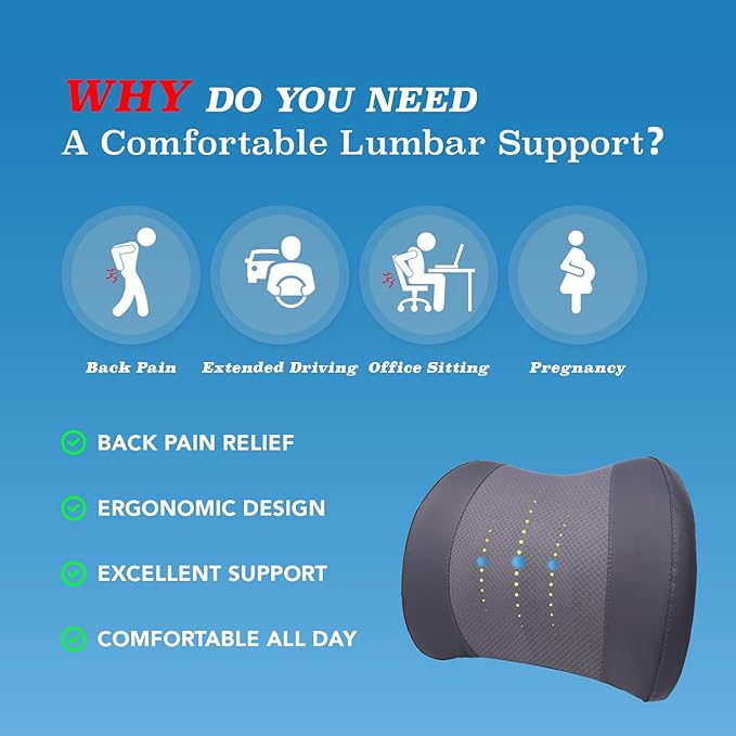 Lofty Aim Lumbar Support Pillow - Image 3