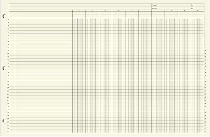 BookFactory Ledger Sheets/Large 10 Column Accounting Ledger Columnar Loose Leaf - Image 2
