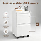 approgreent 2 drawer metal file cabinet, fully assembled on a desk or shelf