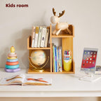 Aibiju Short Bookshelf Small Desk Organizer, Cactus Bookshelf Unique Bookcase - Image 6