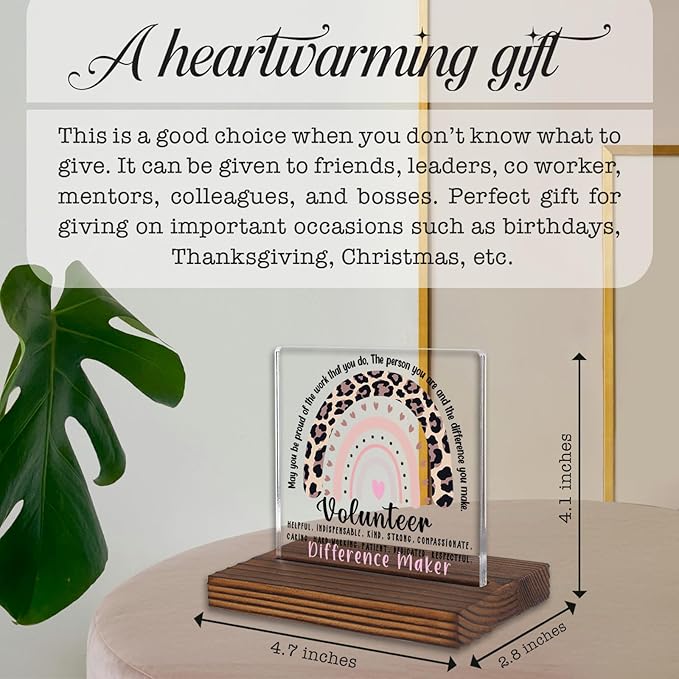 Volunteer Appreciation Gift Desk Sign Leopard Rainbow Decor, Motivational Thank - Image 4
