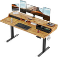 ErGear Electric Standing Desk by ErGear