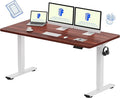 FLEXISPOT EN1 One-Piece Standing Desk by FlexiSpot