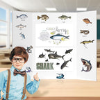 HAUTOCO 36'' x 48'' Trifold Poster Board 2 Pack Large Tri Fold Project Boards - Image 4
