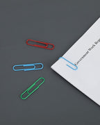 PAPERPAL Paperclips for Office School & Personal Use, Duo Size Vinyl Coated - Image 5