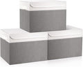 Bagnizer Large 17" 42 Quarts Collapsible Stackable Storage Bins by Bagnizer