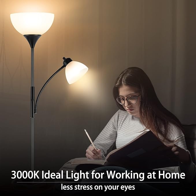 RISLG Floor Lamp, Dimmable Standing lamp, Stepless Dimming Brightness, Included - Image 7