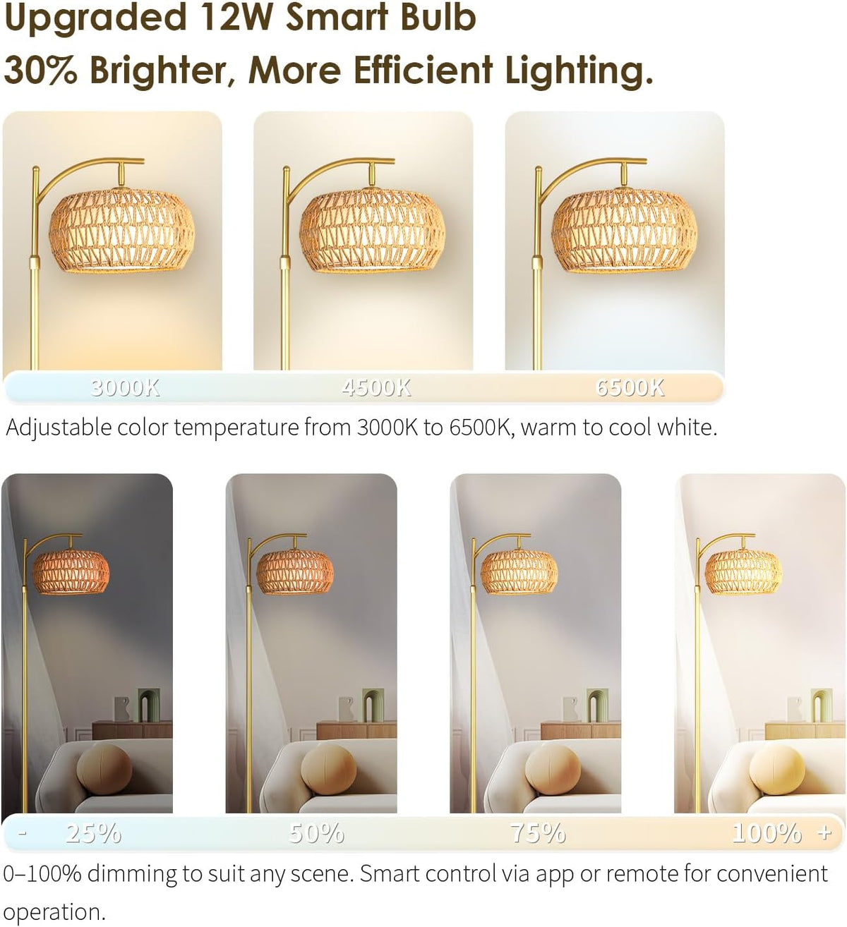 Gold Boho Rattan Floor Lamp w/Remote, Dimmable (2700K - 6000K), 2 - in - 1 Wi...