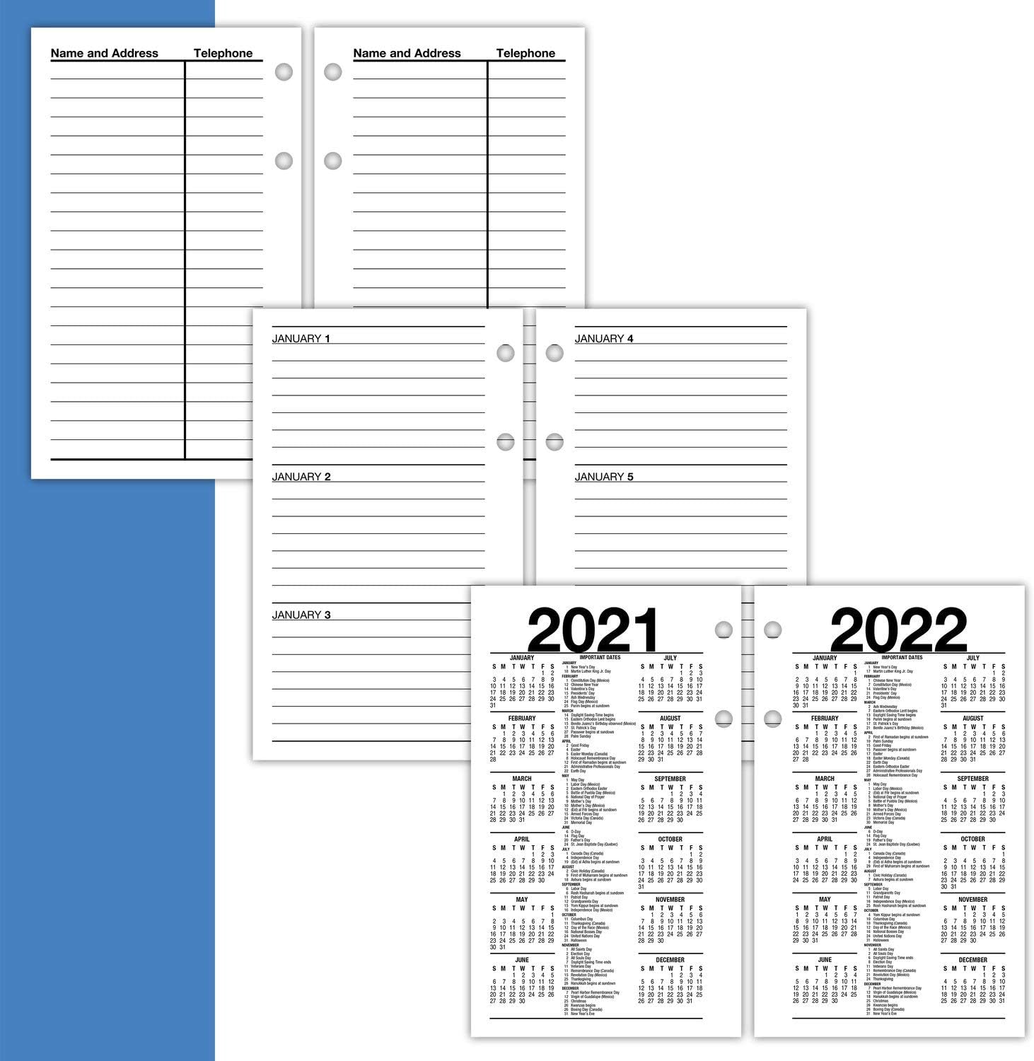 2021 Daily Desk Calendar Refill by AT-A-GLANCE, 3-1/2" x 6", Financial (S1705021)