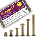 100 Pcs (50 Pair) Bronze Phillips Chicago Binding Screws Assorted Kits,6 Sizes of Flat Head Rivet Hollow Binding Screws Posts, for Leather Saddles Purses Belt Repair（M5 x 5/10/15/25/35/45）