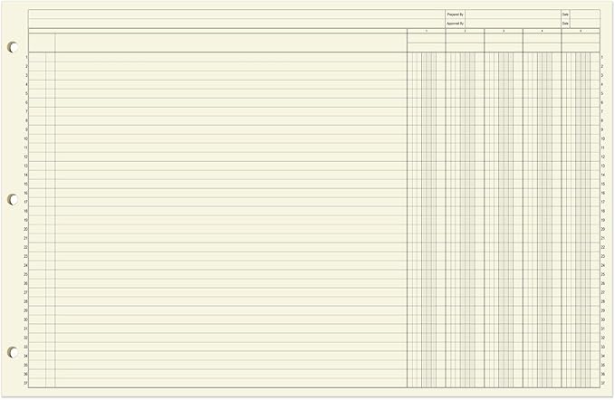 BookFactory Ledger Sheets/Large 5 Column Accounting Ledger Columnar Loose Leaf - Image 2